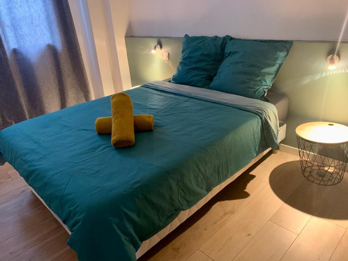Spacieux Appartement Lumineux Coeur De Ville ปามิเยร์ ภายนอก รูปภาพ